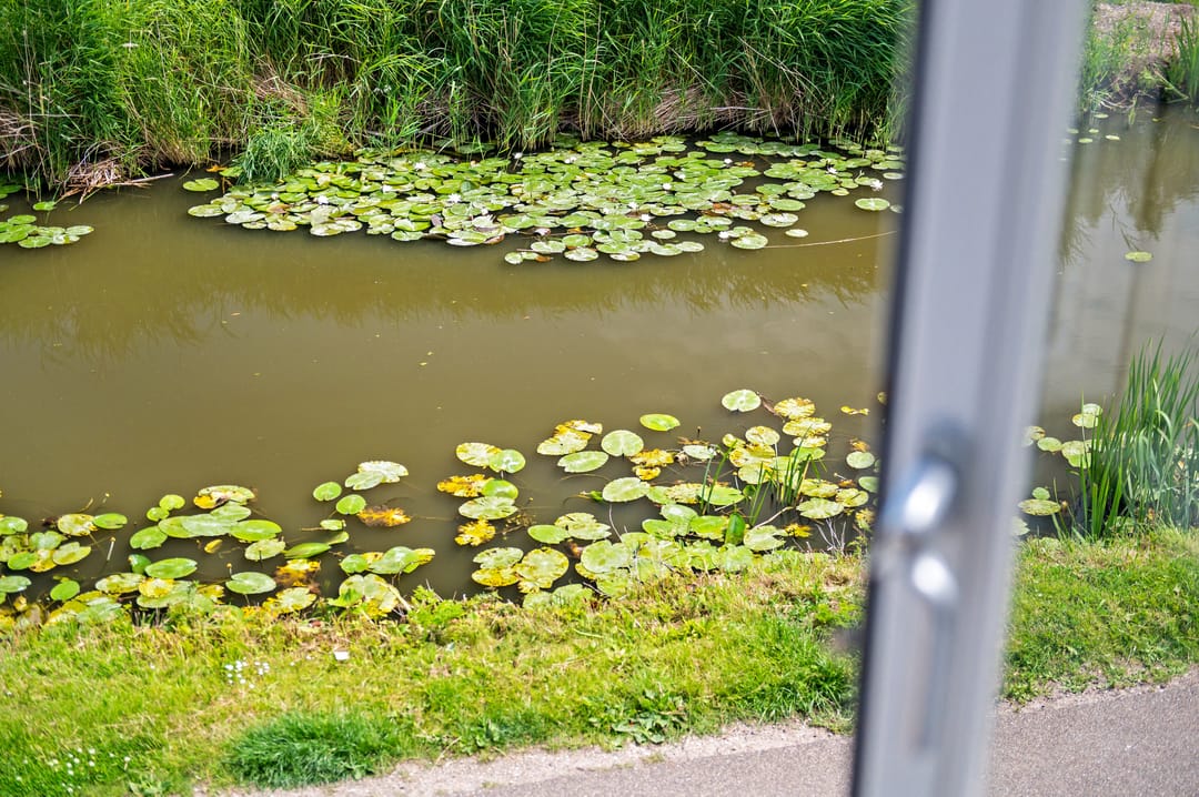 Foto 37 van Lookwatering 4