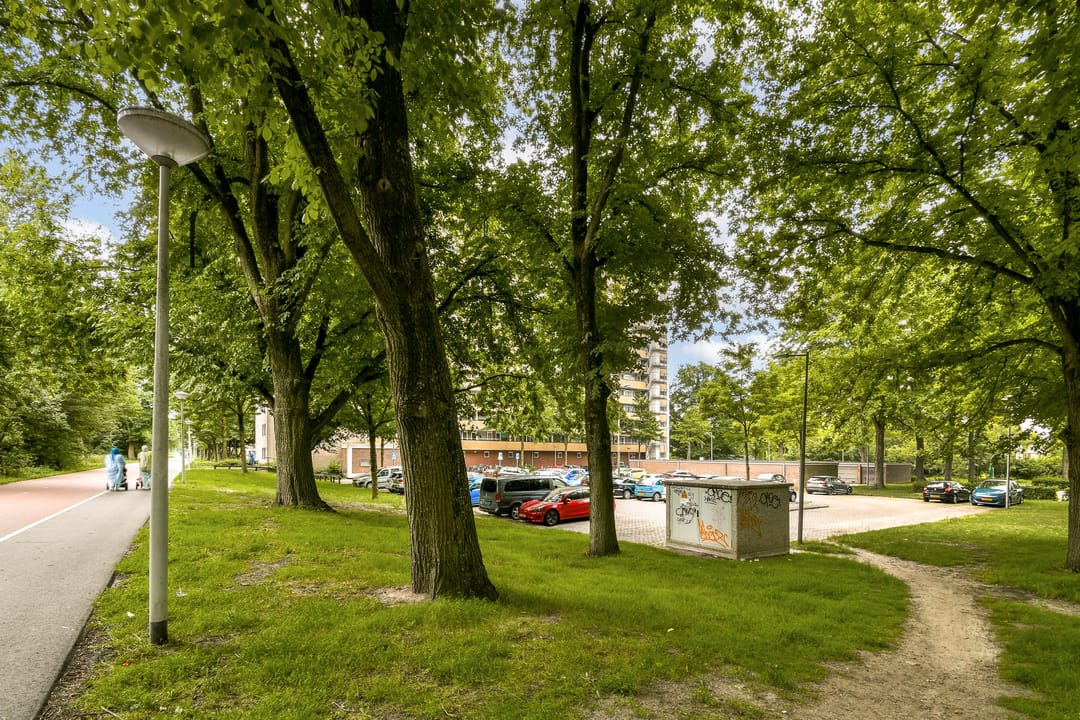 Photo 22 of Langswater 248