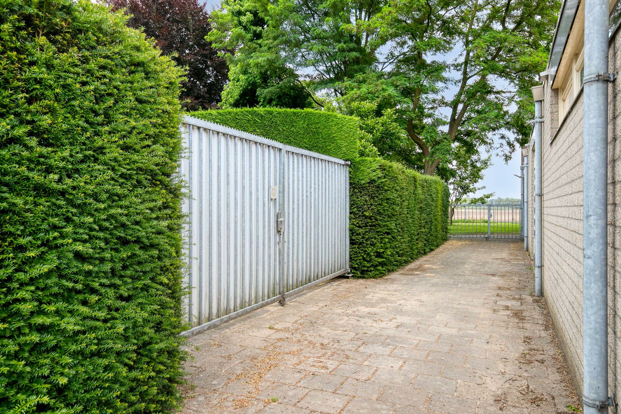 Foto 66 van Wethouder Lemmenstraat 11