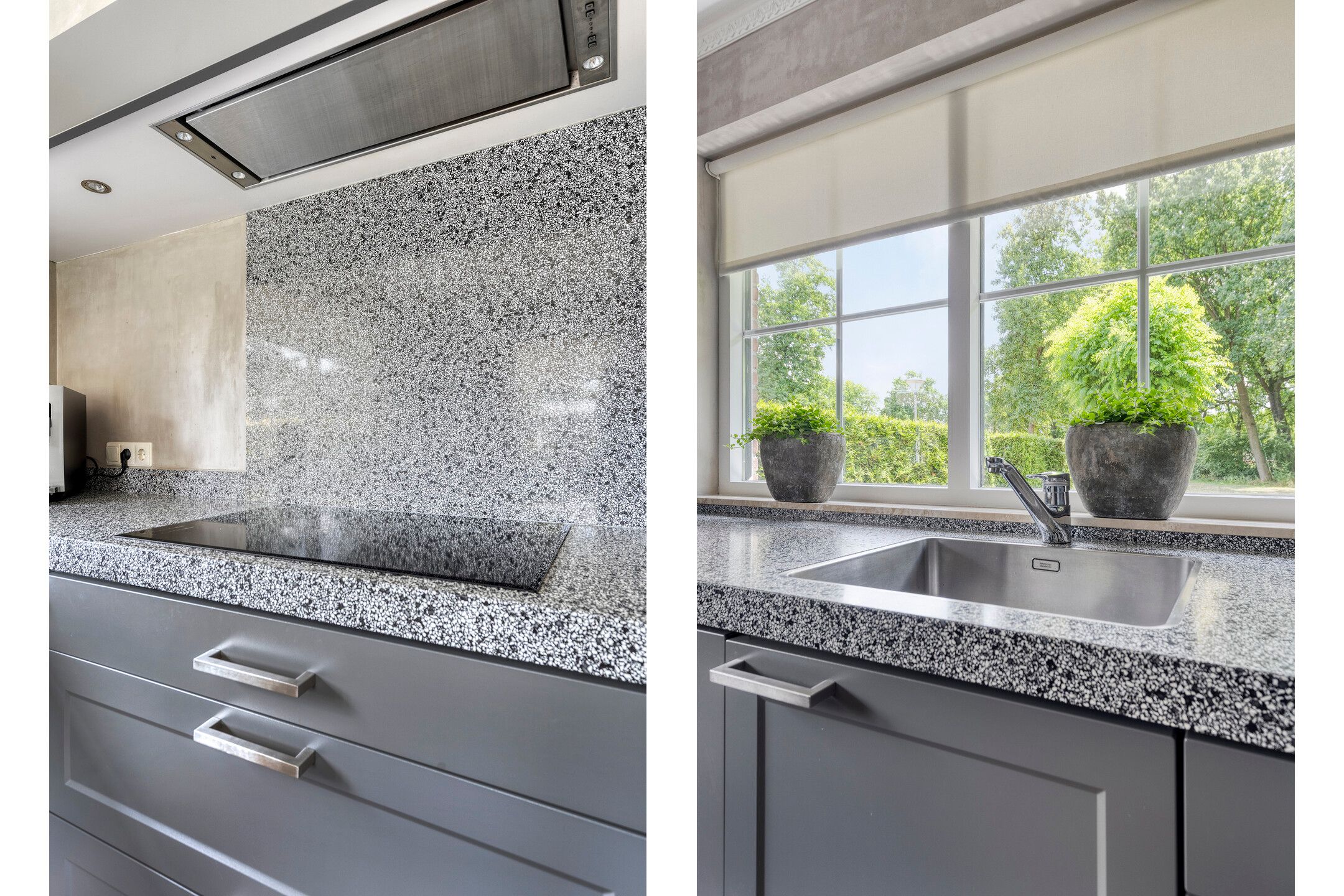 Foto 18 van Zenegroen 24