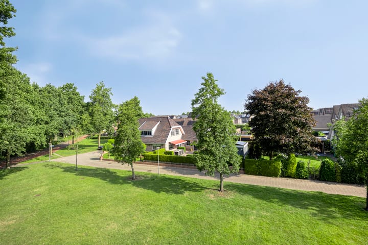 Photo 42 of Zenegroen 24