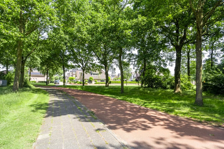 Photo 43 of Zenegroen 24