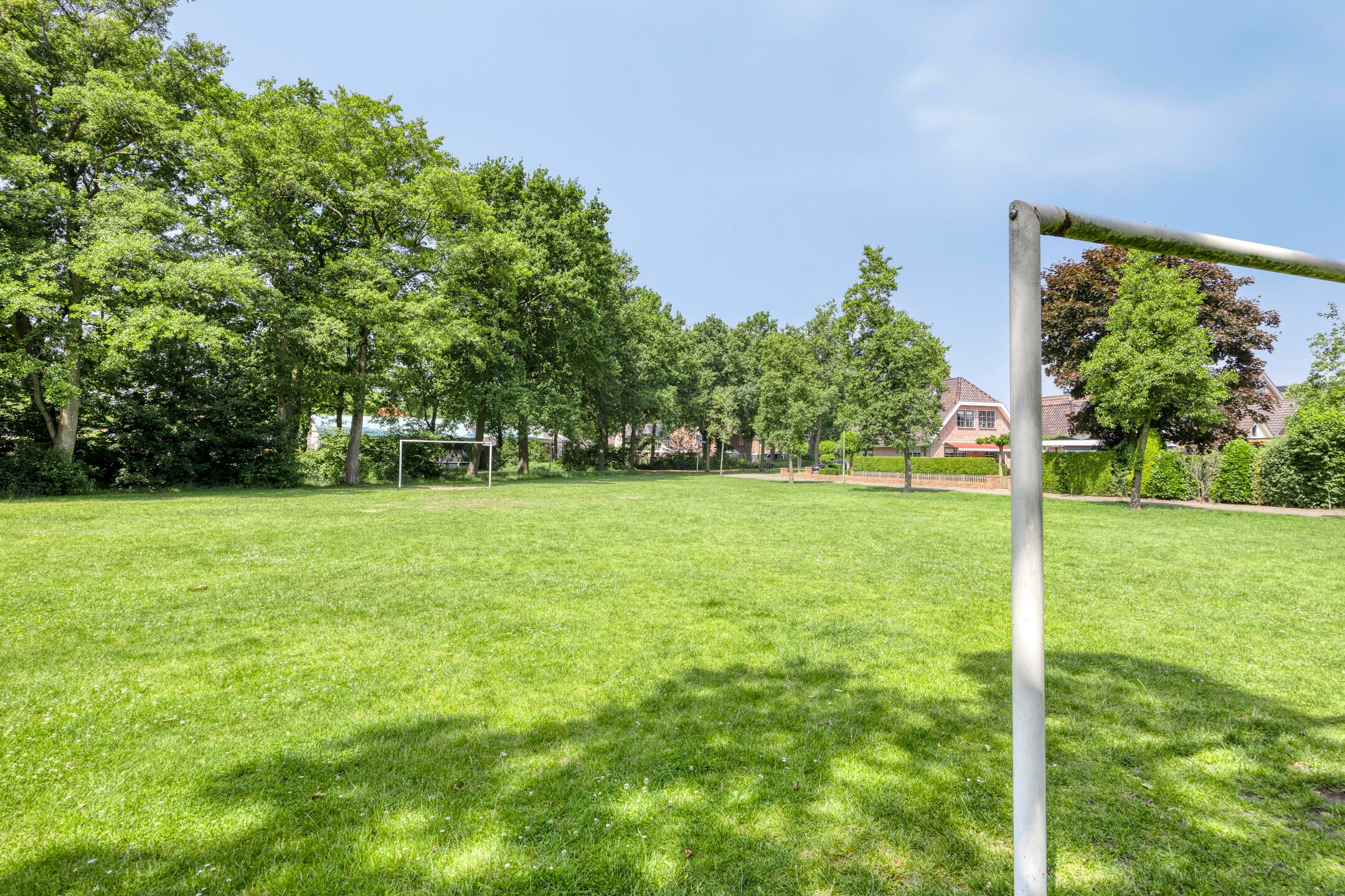 Foto 45 van Zenegroen 24