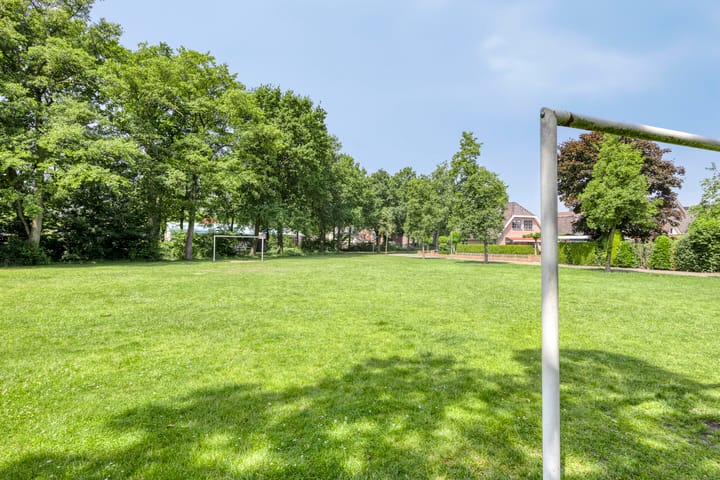 Photo 45 of Zenegroen 24