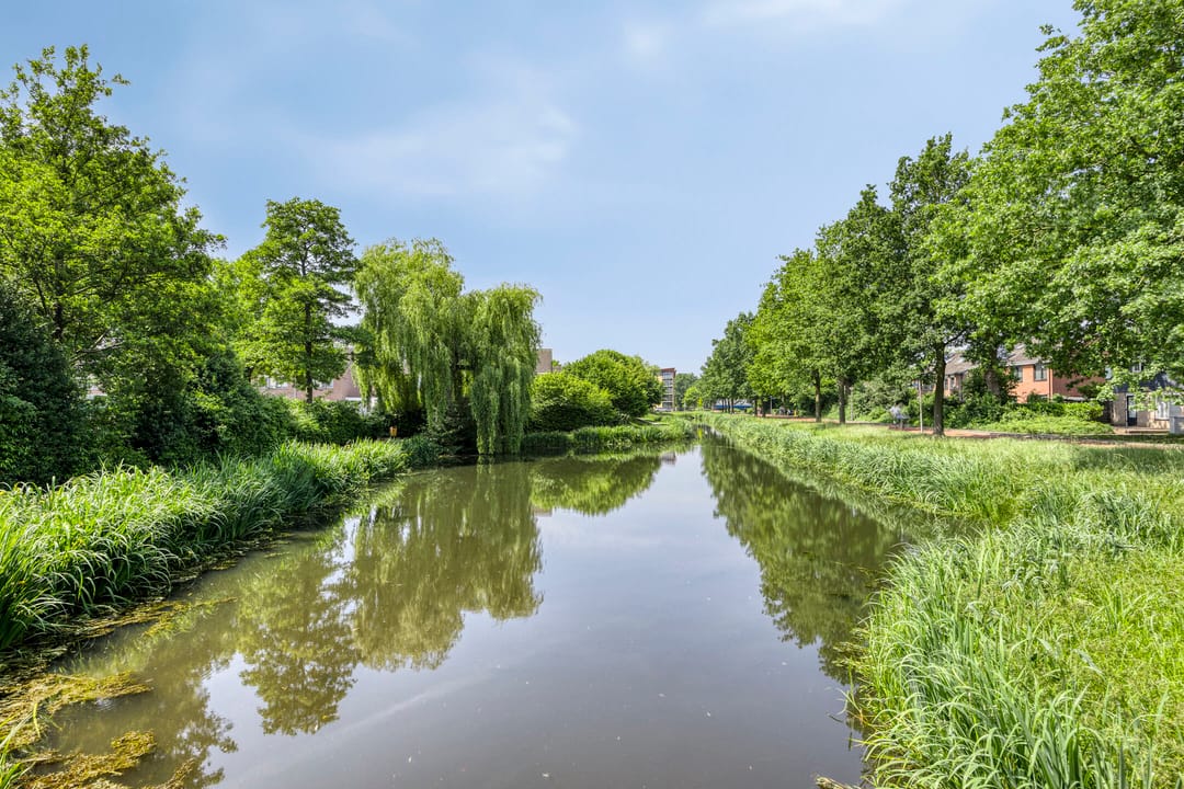 Foto 46 van Zenegroen 24