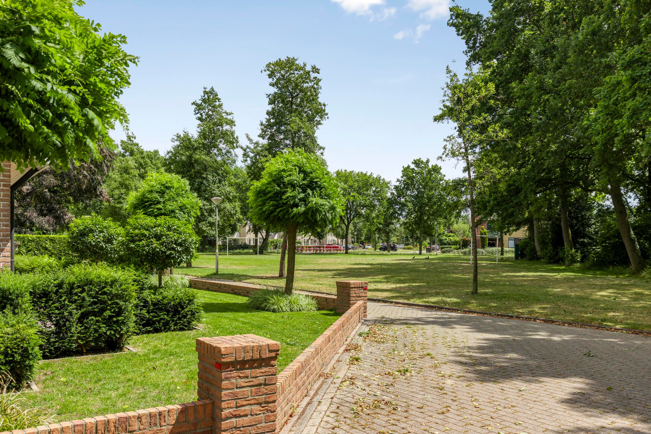 Foto 48 van Zenegroen 24