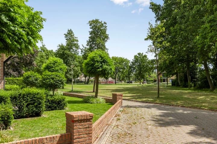 Photo 48 of Zenegroen 24