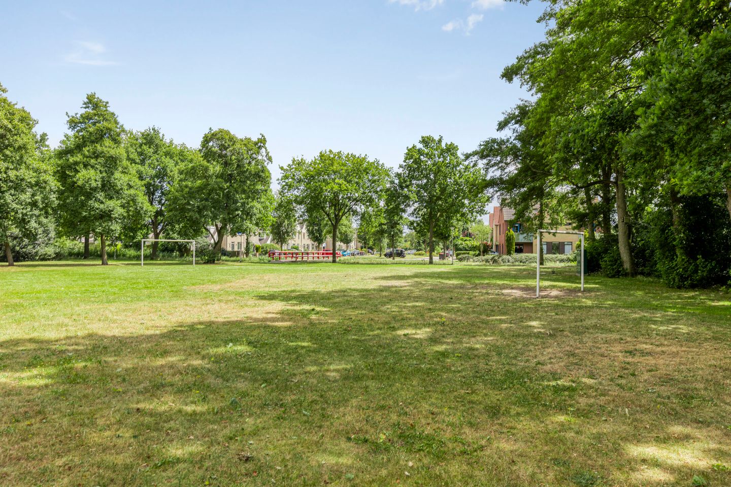 Foto 49 van Zenegroen 24