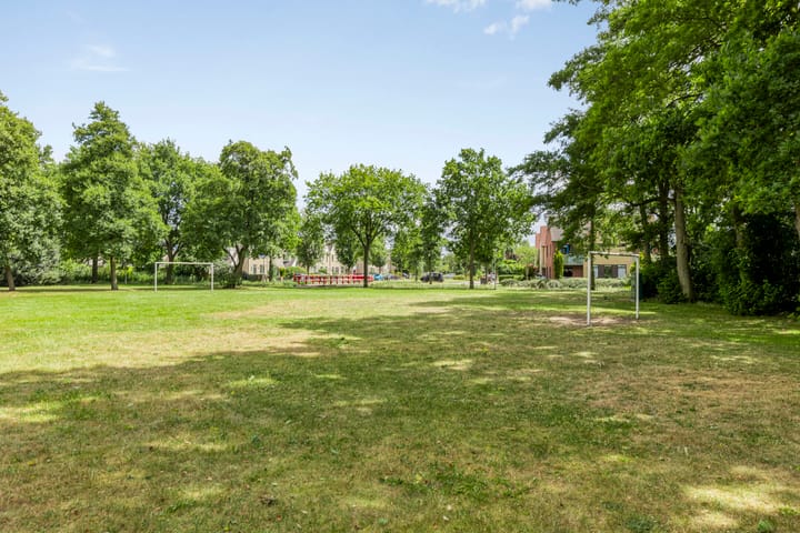 Photo 49 of Zenegroen 24