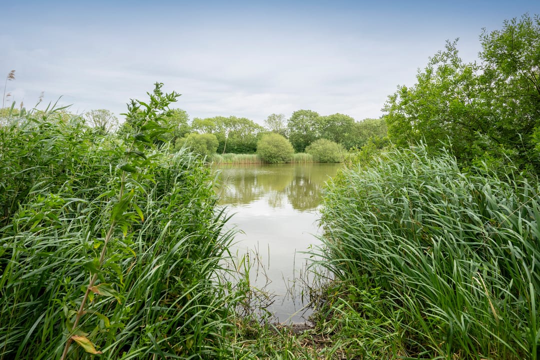 Foto 37 van Kolgans 7