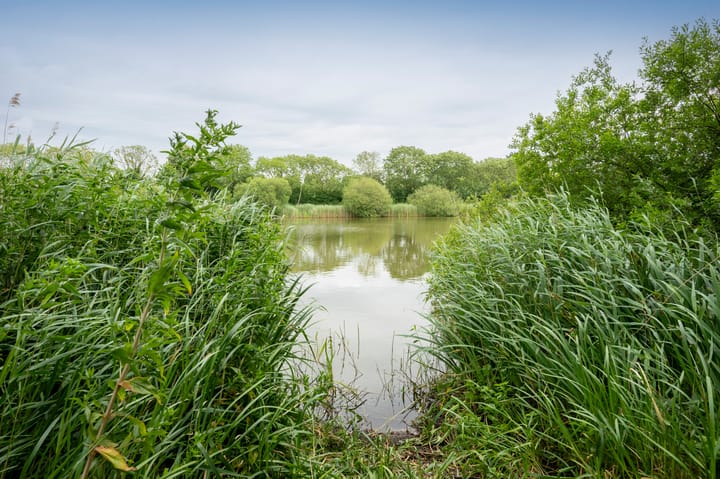 Foto 37 van Kolgans 7