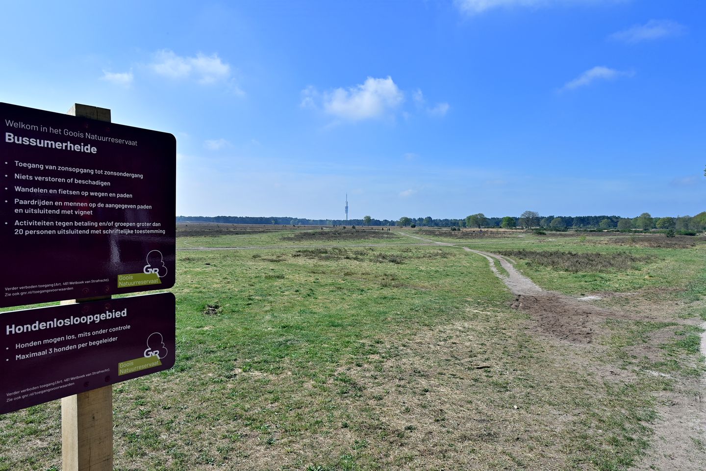 Foto 14 van Zwaluwlaan 14