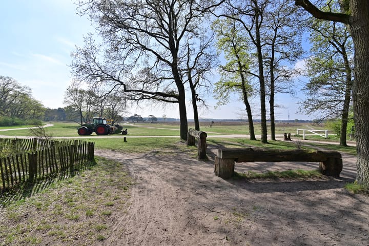 Foto 15 van Zwaluwlaan 14