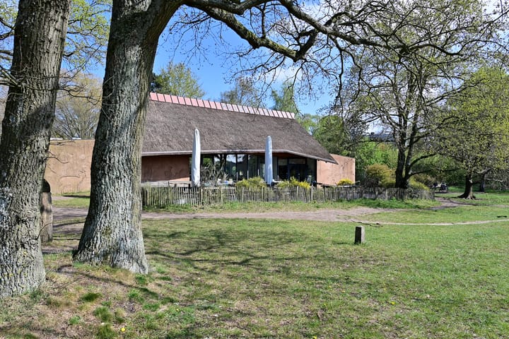 Foto 16 van Zwaluwlaan 14