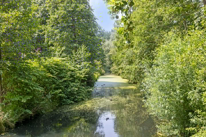 Foto 35 van Kievitspad 9