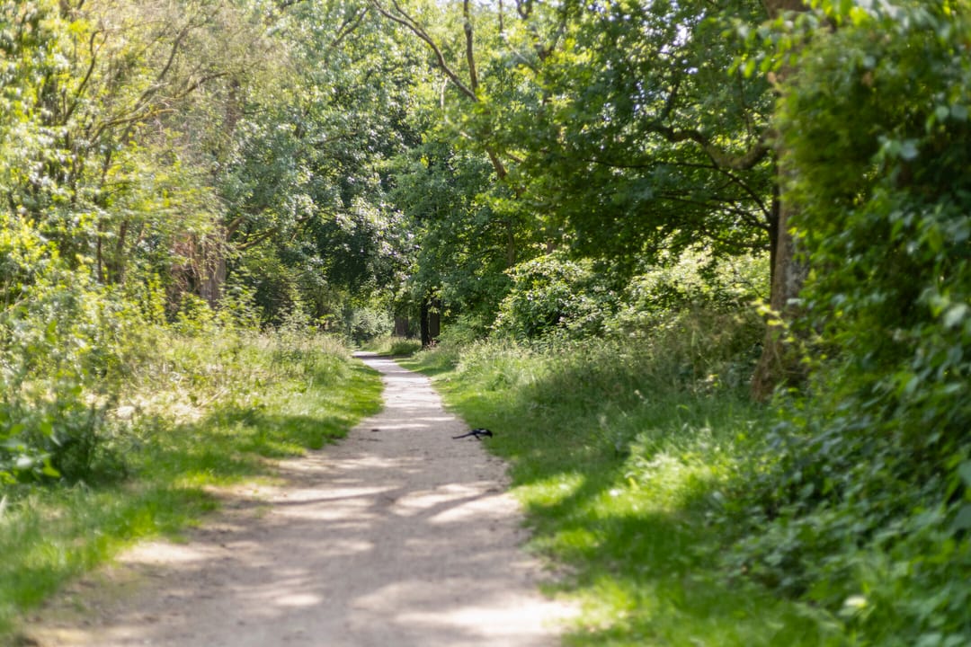 Foto 37 van Kievitspad 9