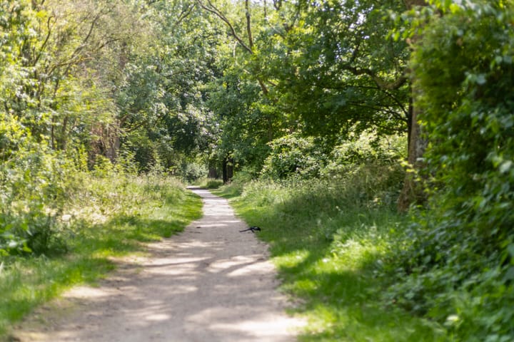 Foto 37 van Kievitspad 9