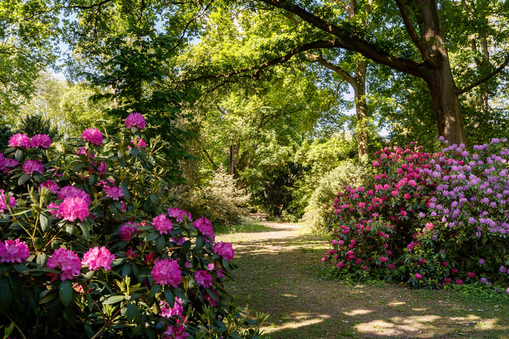 Foto 27 van Burgemeester van Tuyllkade 98-BS