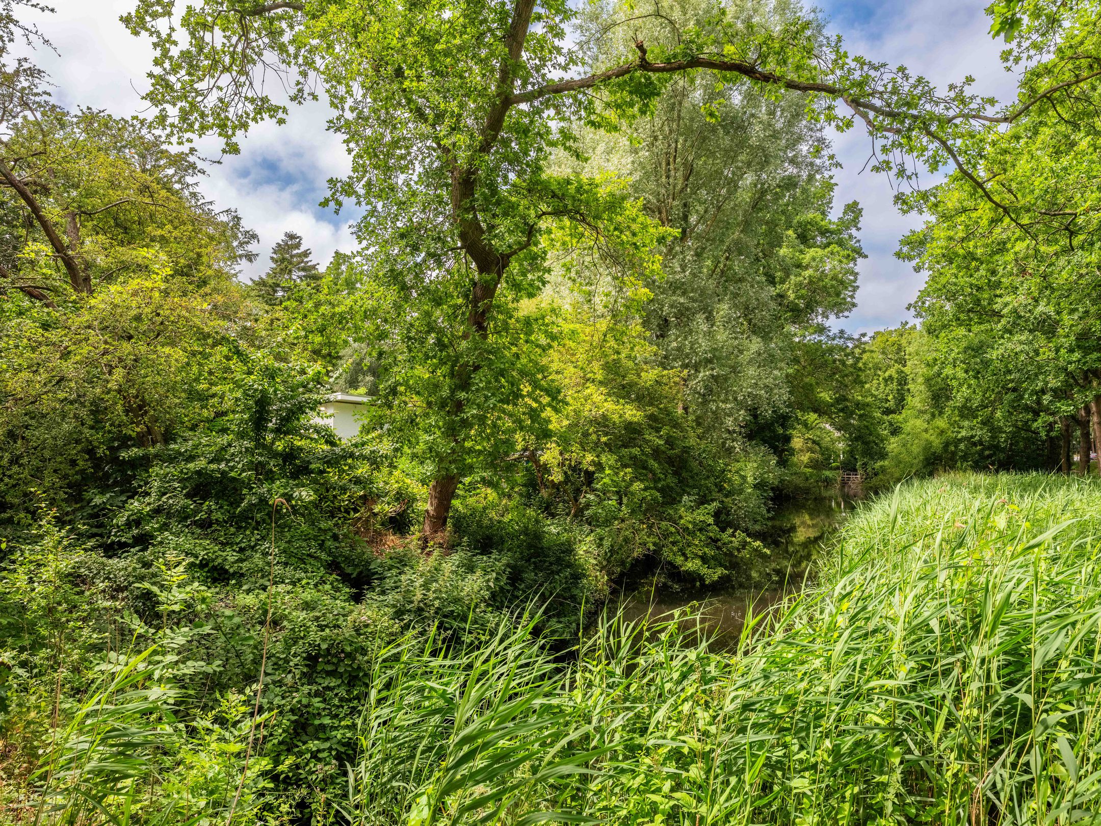 Foto 48 van Noordlaan 27