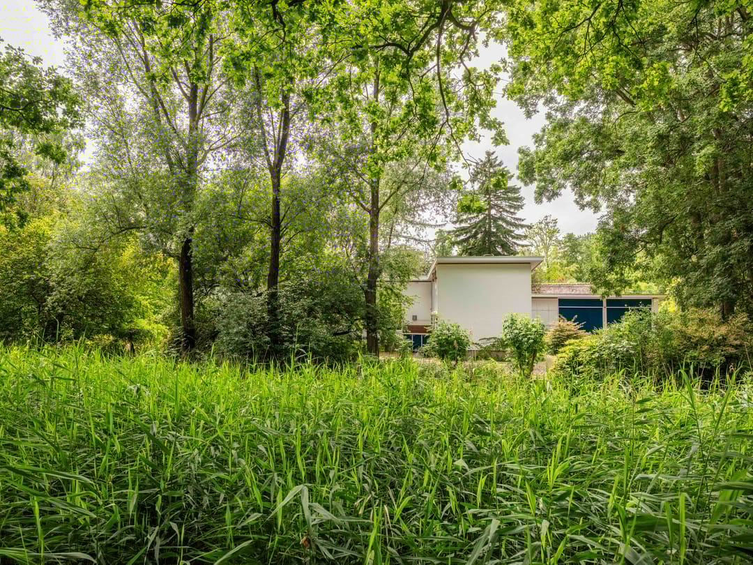 Foto 2 van Noordlaan 27