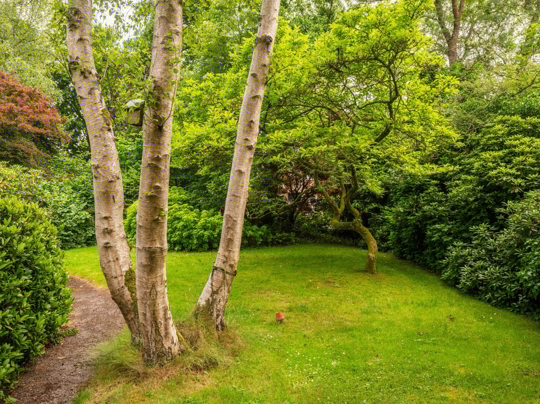 Foto 32 van Noordlaan 27