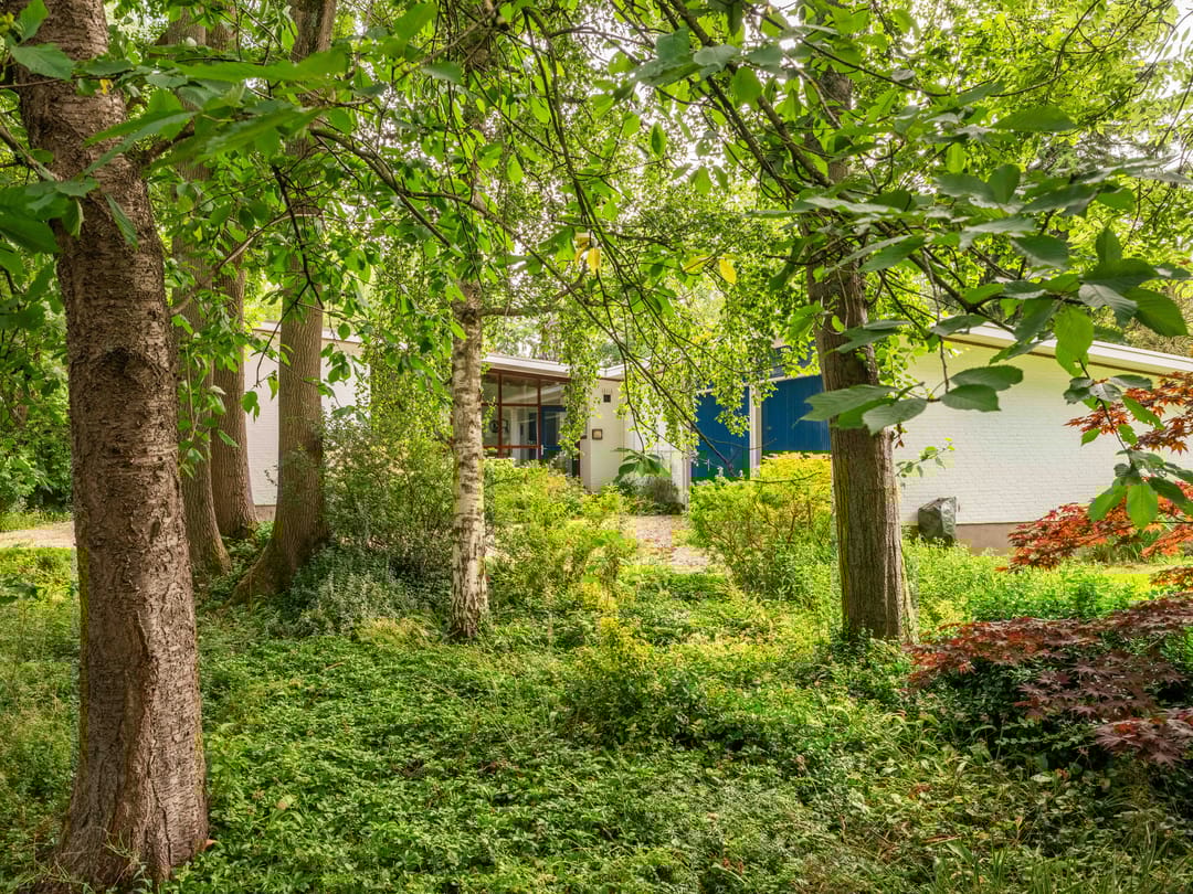 Foto 41 van Noordlaan 27