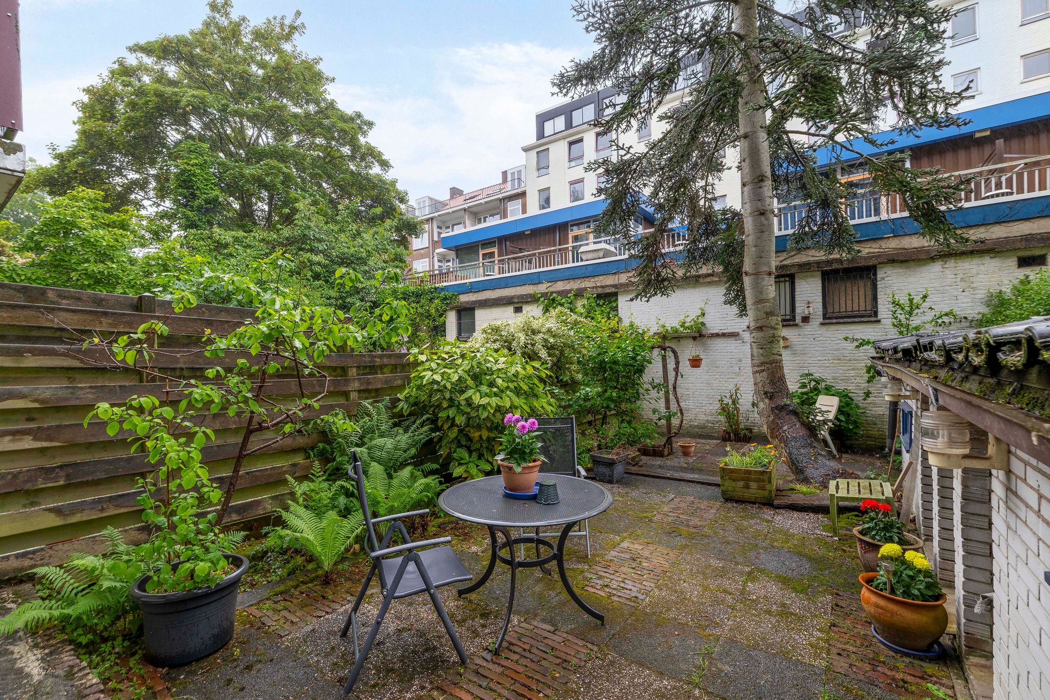 Foto 36 van Willem Buytewechstraat 195-C