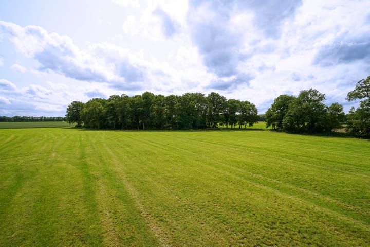 Photo 32 of De Brink 24