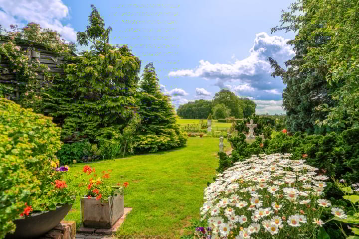 Photo 28 of De Brink 24