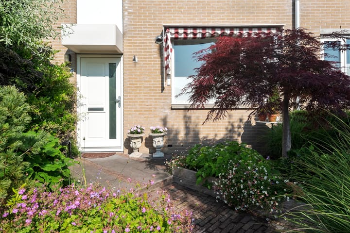 Foto 28 van Henriëtte Roland Holststraat 4