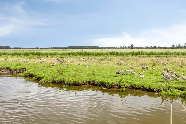 Foto 48 van Vondelweg 98-RD