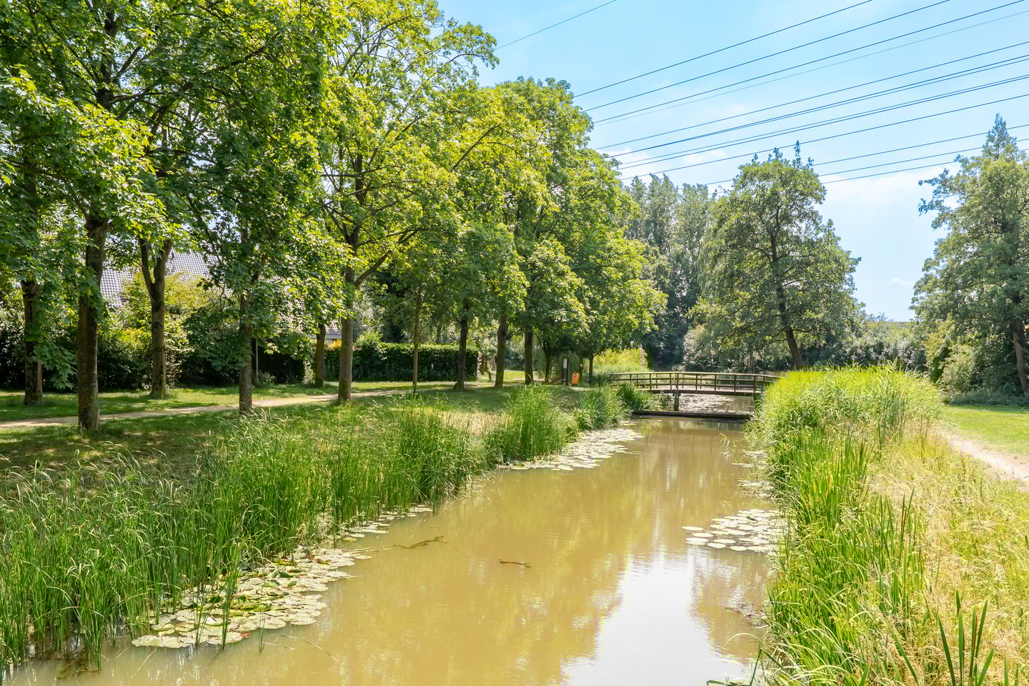 Foto 35 van Fazantenkamp 429