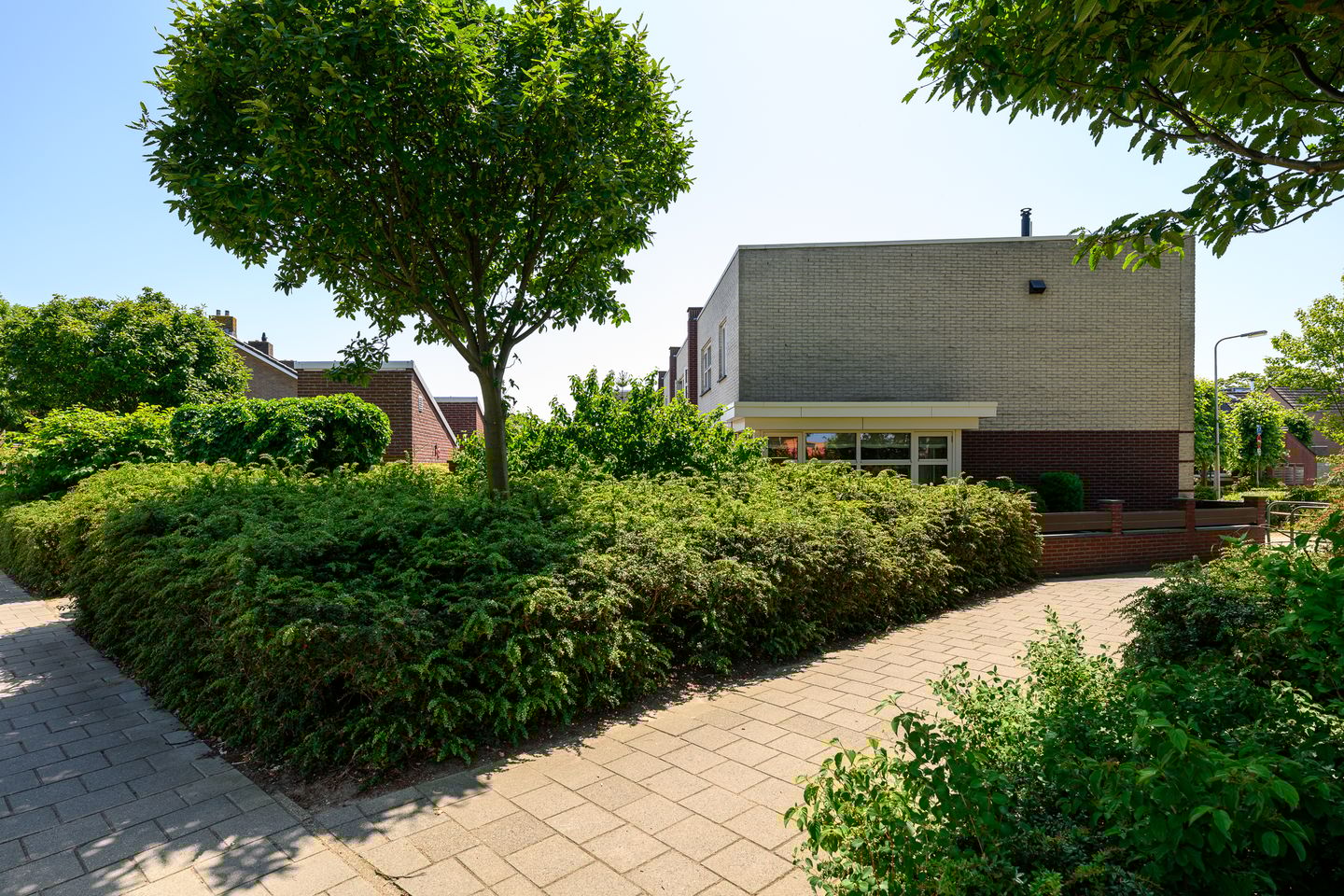 Foto 35 van Jan Olierookstraat 65