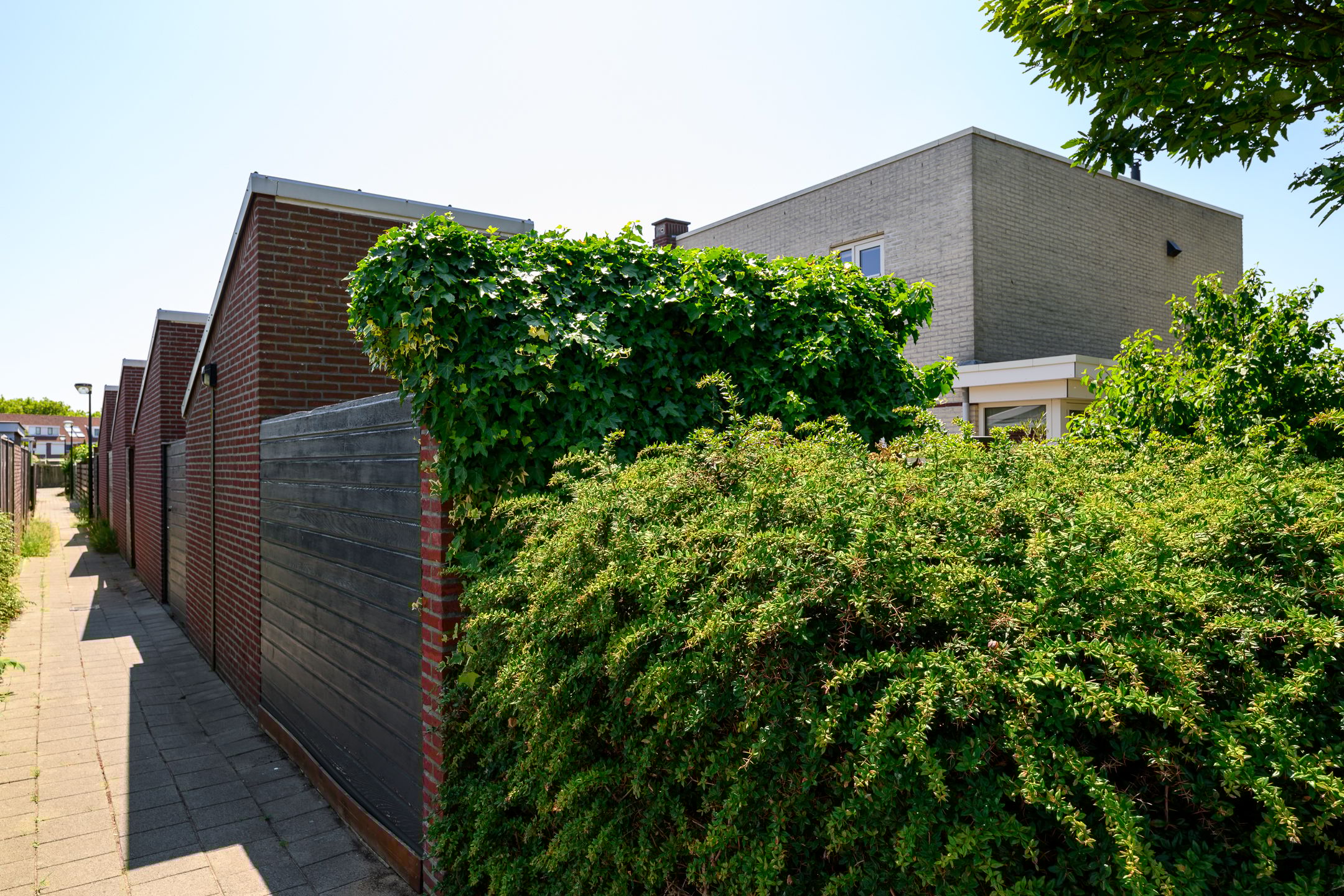 Foto 36 van Jan Olierookstraat 65