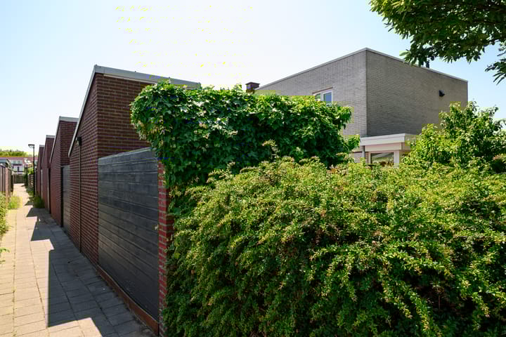 Foto 36 van Jan Olierookstraat 65