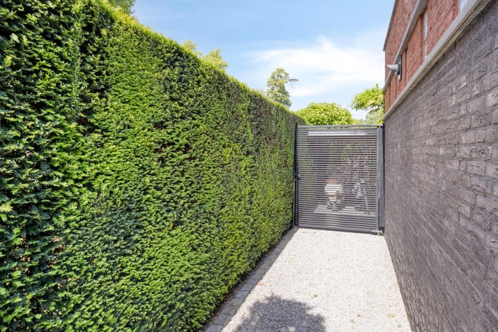 Foto 70 van Stiena Ruypers Park 17