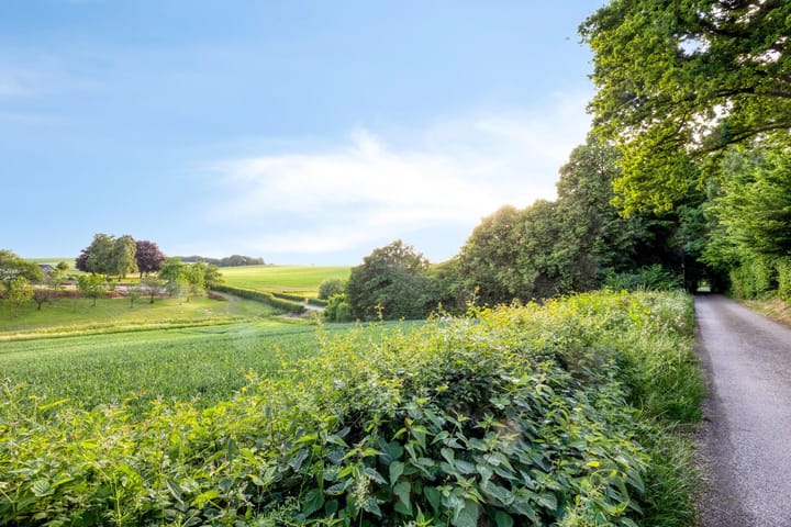 Foto 131 van Stiena Ruypers Park 17