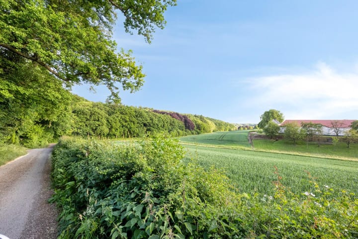 Foto 130 van Stiena Ruypers Park 17