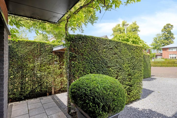 Foto 11 van Stiena Ruypers Park 17