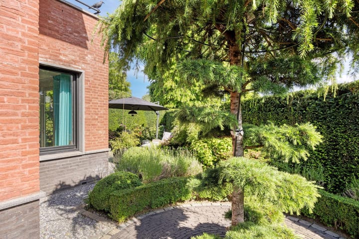 Foto 100 van Stiena Ruypers Park 17