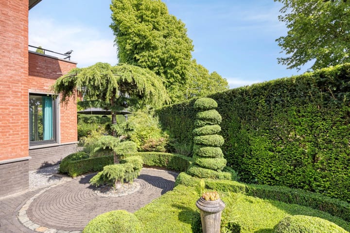 Foto 101 van Stiena Ruypers Park 17