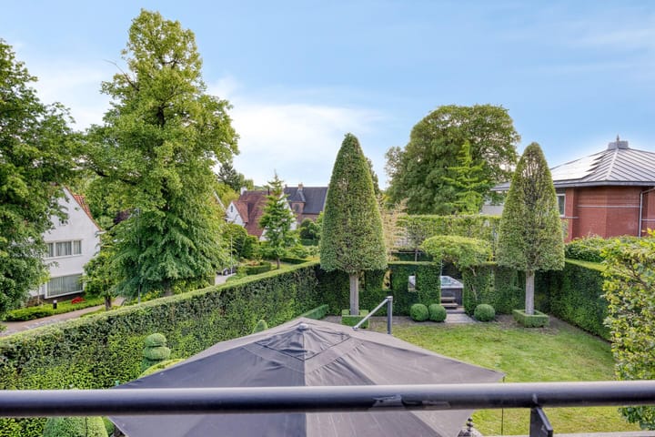 Foto 69 van Stiena Ruypers Park 17