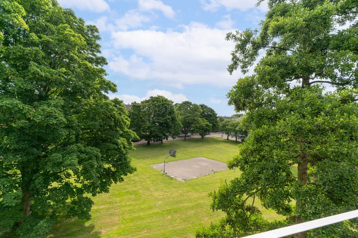 Foto 19 van Van der Haertstraat 36