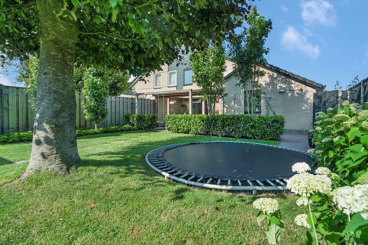 Photo 34 of Bottelroos 25