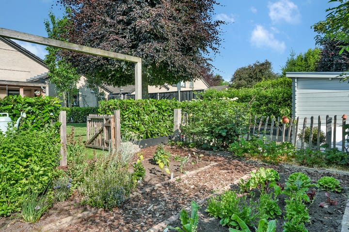 Photo 35 of Bottelroos 25