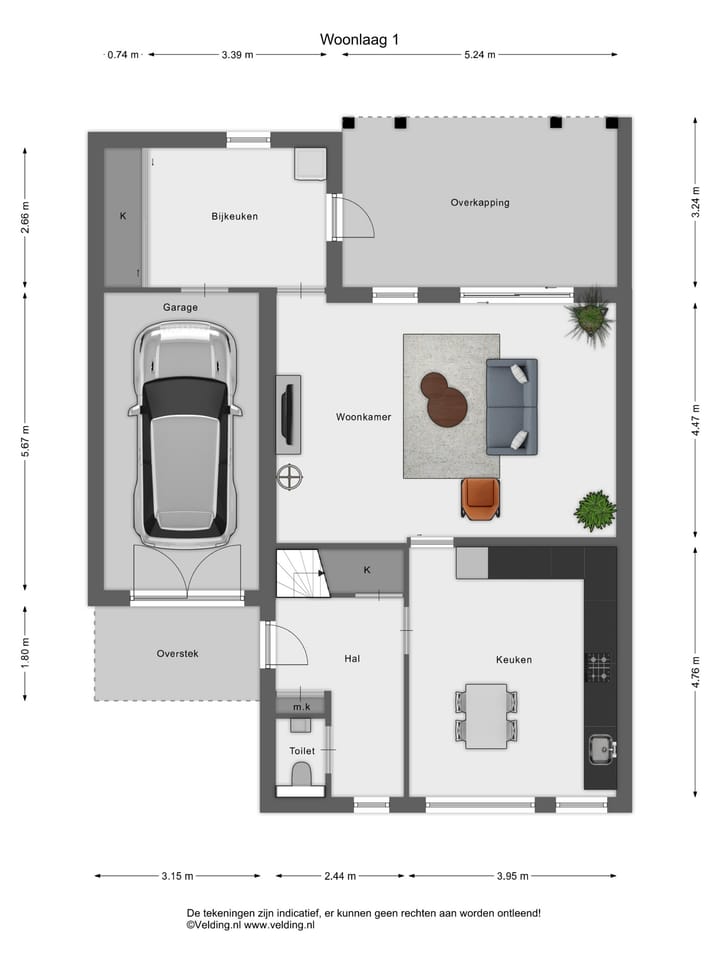 Photo 39 of Bottelroos 25