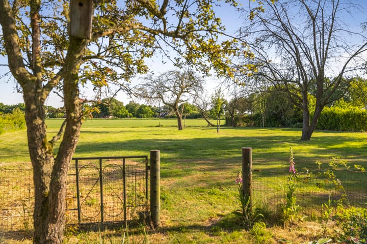 Photo 6 of Borgersteeg 1