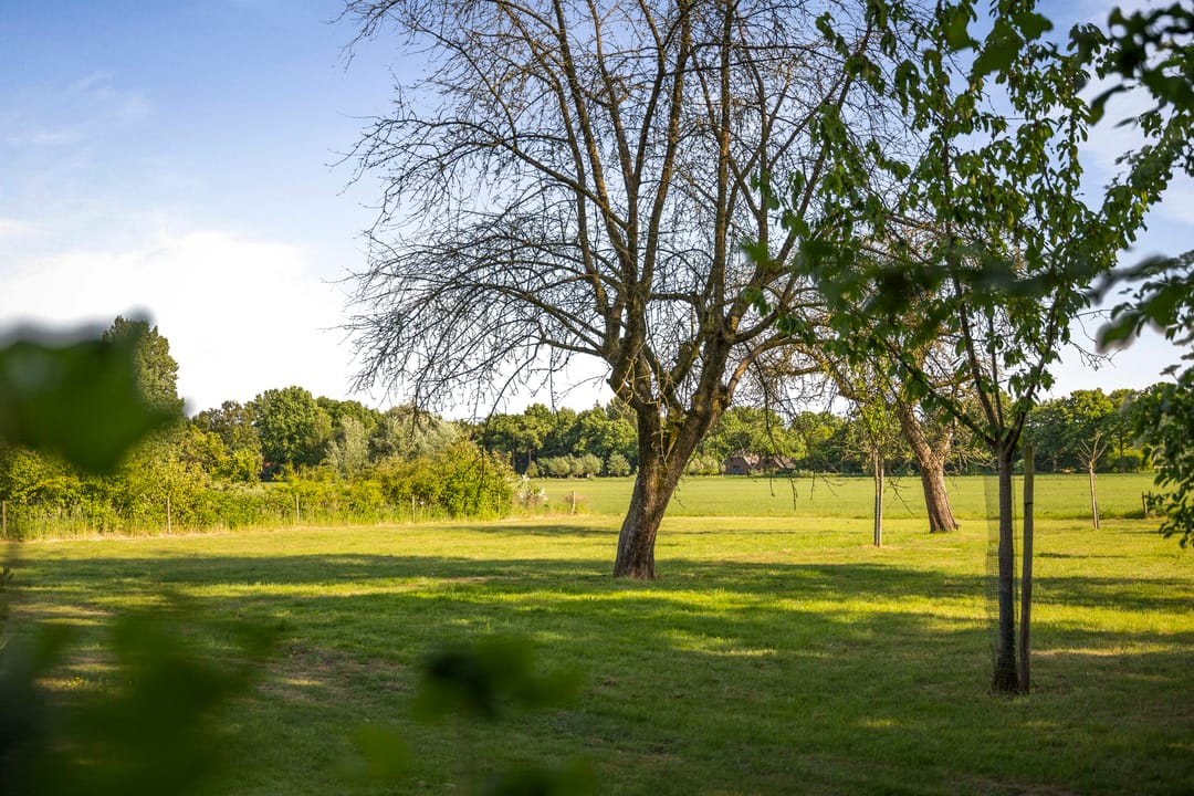 Foto 11 van Borgersteeg 1