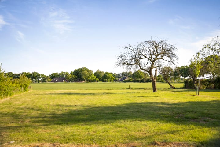 Photo 13 of Borgersteeg 1