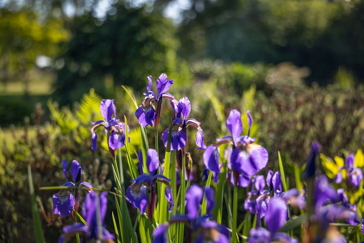 Foto 14 van Borgersteeg 1